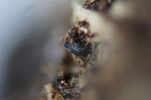 20260729-143847-00.jpg