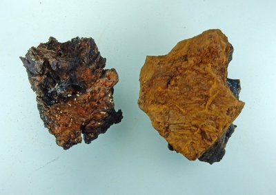 Krebs_li_Chaga_re.jpg (100.97 KiB) 76606 mal betrachtet links Krebs, rechts Chaga