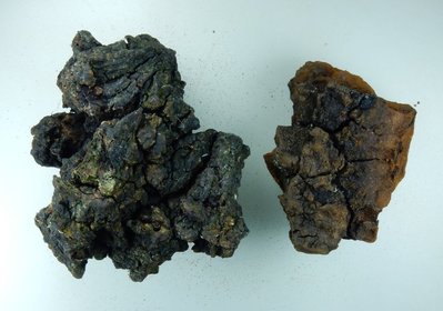 krebs_li_chaga_rechts.jpg (125.27 KiB) 79001 mal betrachtet links Krebs, rechts Chaga