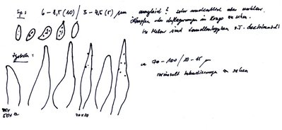 Unbenannt-1a.jpg