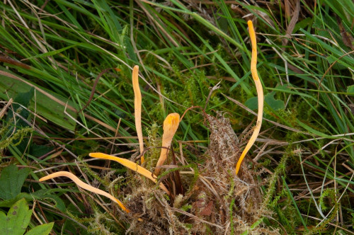 2016-10-01-Semriach-Pöllau-018.jpg