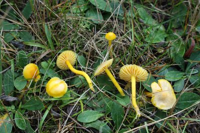 IMG_0794.JPG